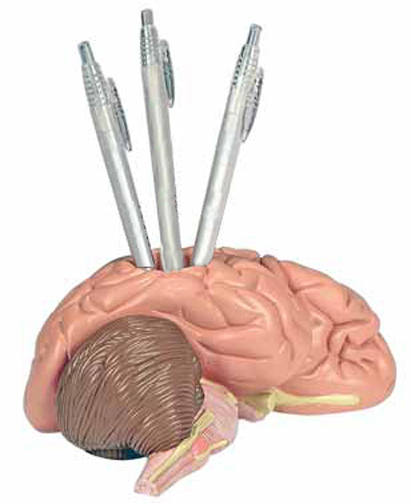 Brain Penholder